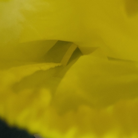 A jacket - Picture 3 of 6